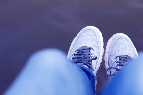 Races de chiens idéales pour les activités en plein air