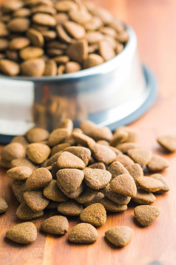 Assurez une alimentation optimale à votre Cane Corso avec les meilleures croquettes